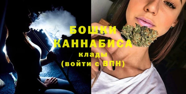 соль ск Арсеньев