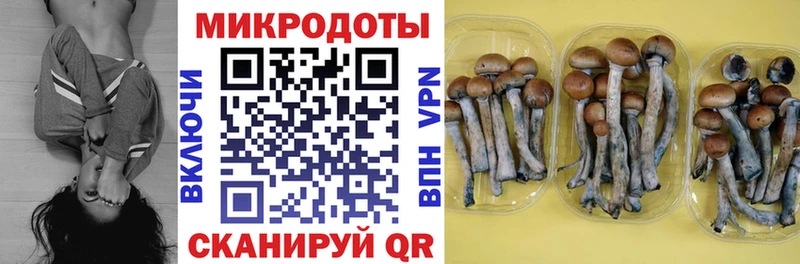 Галлюциногенные грибы MAGIC MUSHROOMS  где продают   Вятские Поляны 